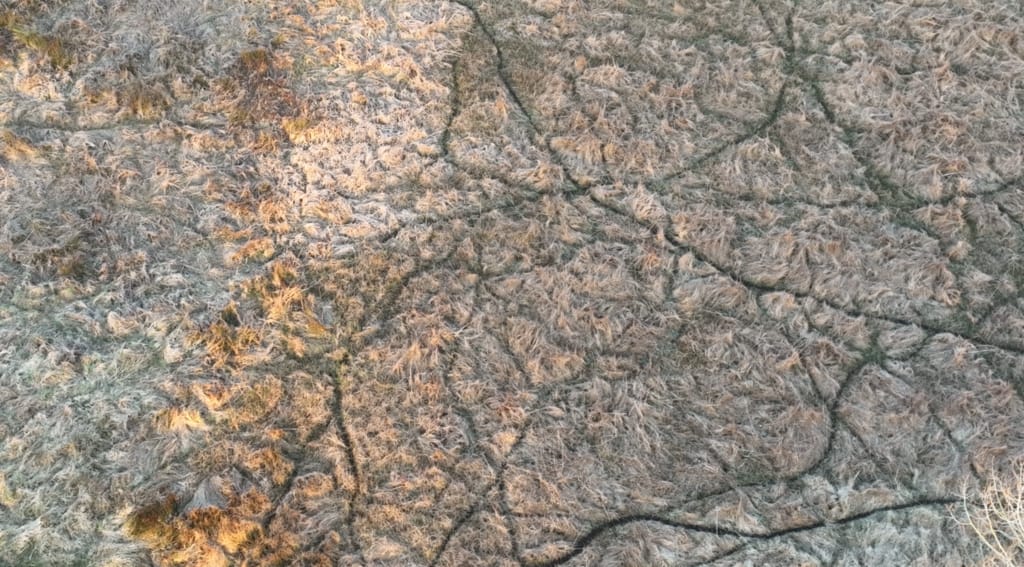 photo-marais9-1024x567